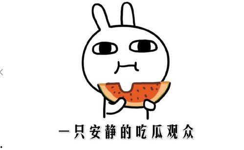 娱乐吃瓜名字怎么取的呀